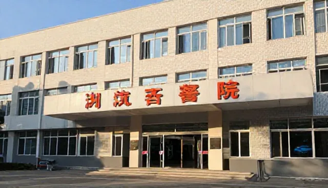 车辆安全:轮胎更换选型关注点分析
